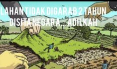 Lahan Rakyat Disita, HGU Mangkrak Dibiarkan: Ironi di Negeri Agraris. Jangan Cuma Tegas ke Petani Kecil, Lunak ke Korporasi